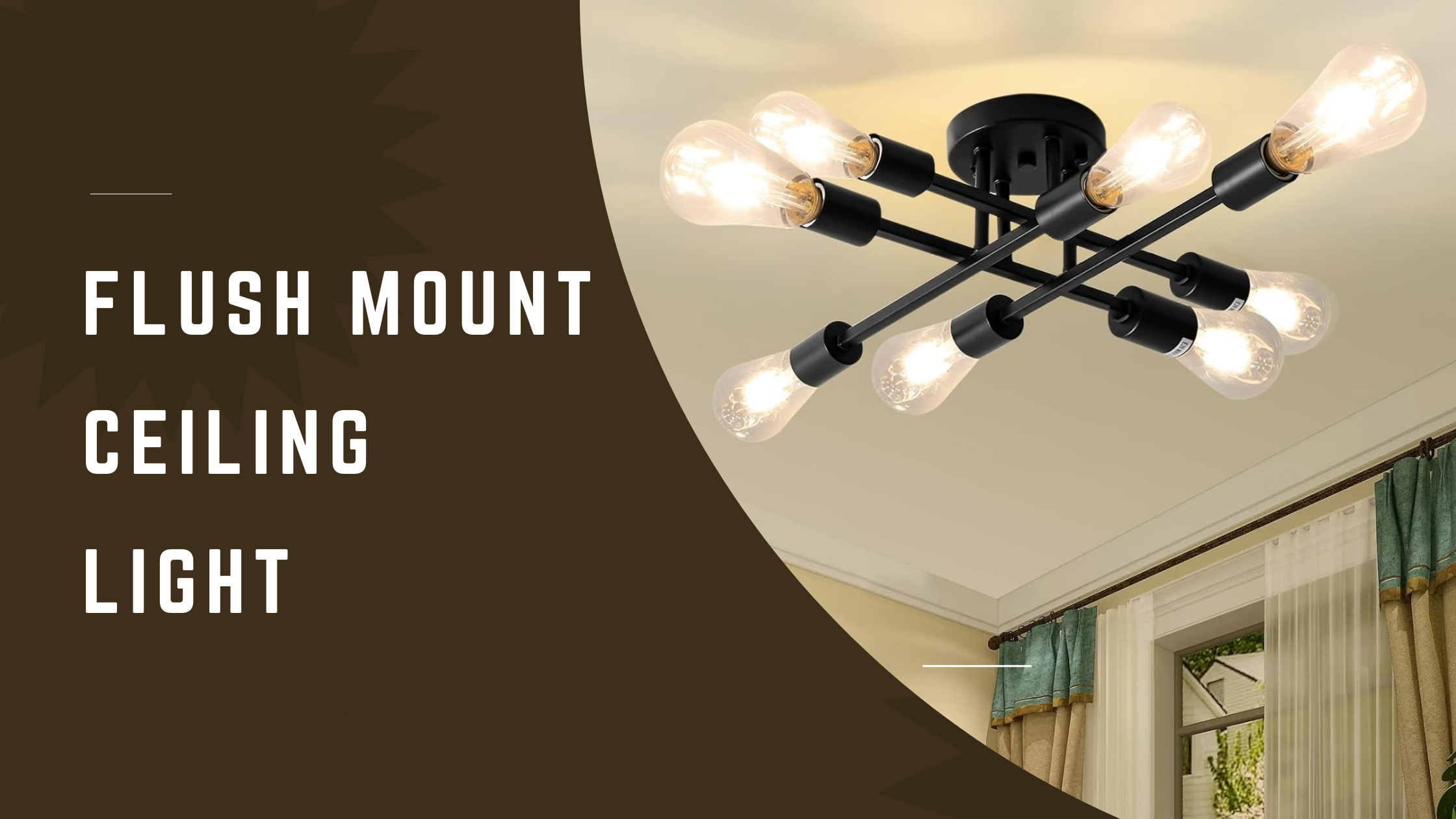 Flush Mouth Ceiling Light